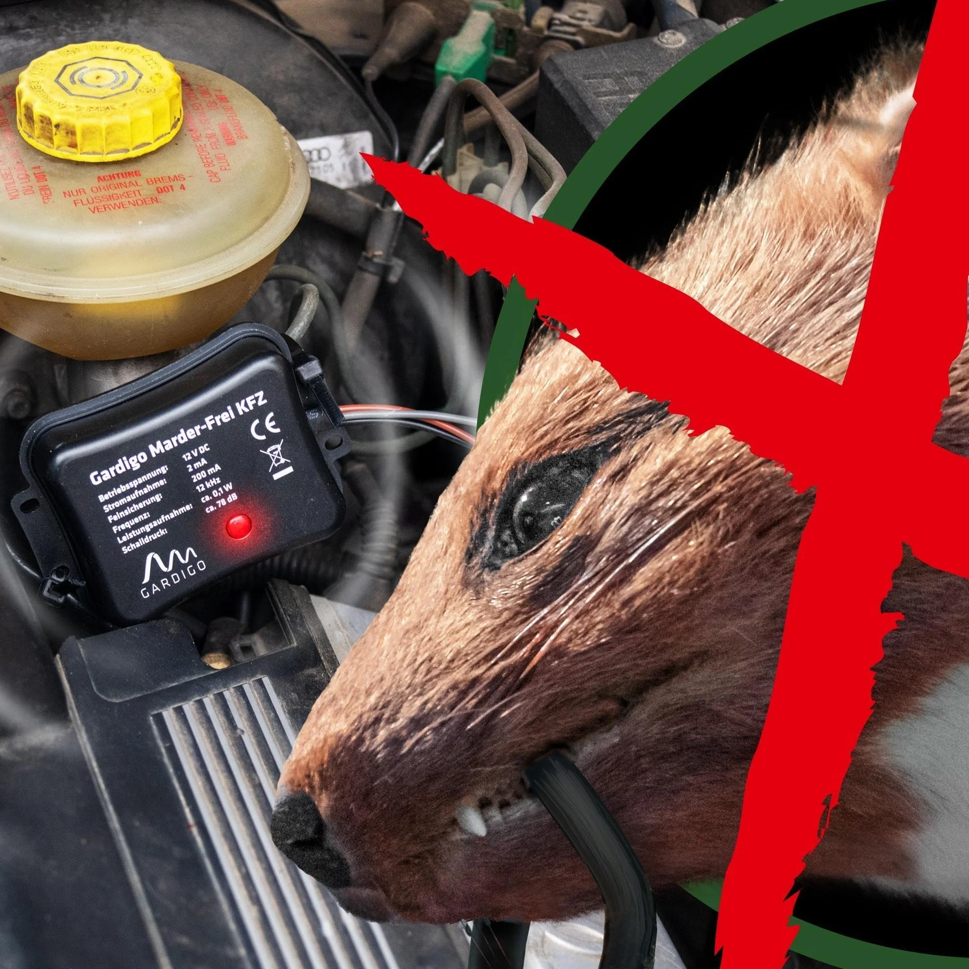 Gardigo Odstraszacz Kun do Samochodu Marder-Frei | 25 Lat Doświadczenia Ochrona Samochodu przed Kunami | Podłączenie do 12V Akumulatora Samochodowego | Ochrona Samochodu przed Kunami | Odstraszanie