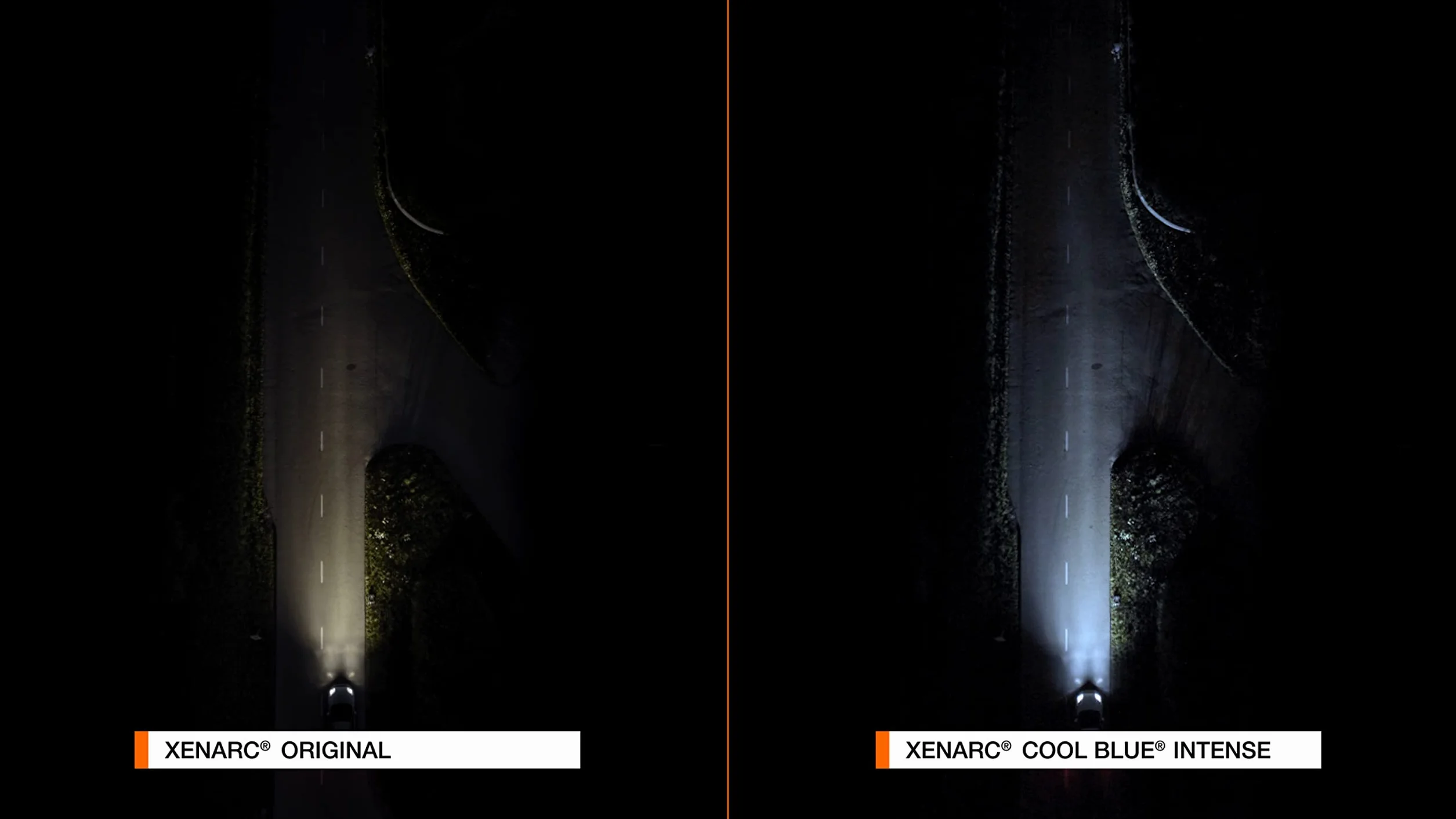 XENARC COOL BLUE INTENSE D1S, Składane pudełko