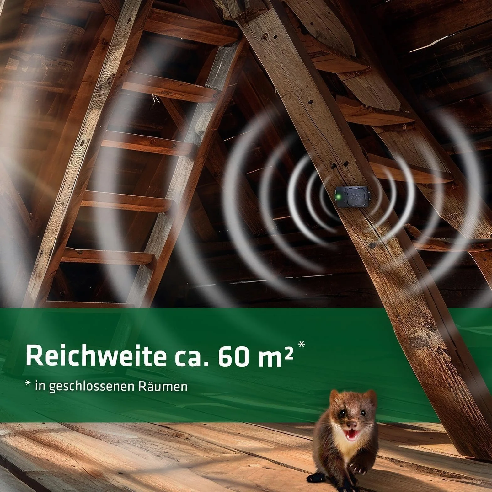 Gardigo® Samochodowy odstraszacz kun, zasilany bateriami, ultradźwiękowy odstraszacz kun, 12 – 24 kHz, wymiana baterii bez demontażu, mobilna ochrona przed kunami do samochodu, komory silnika, strychu