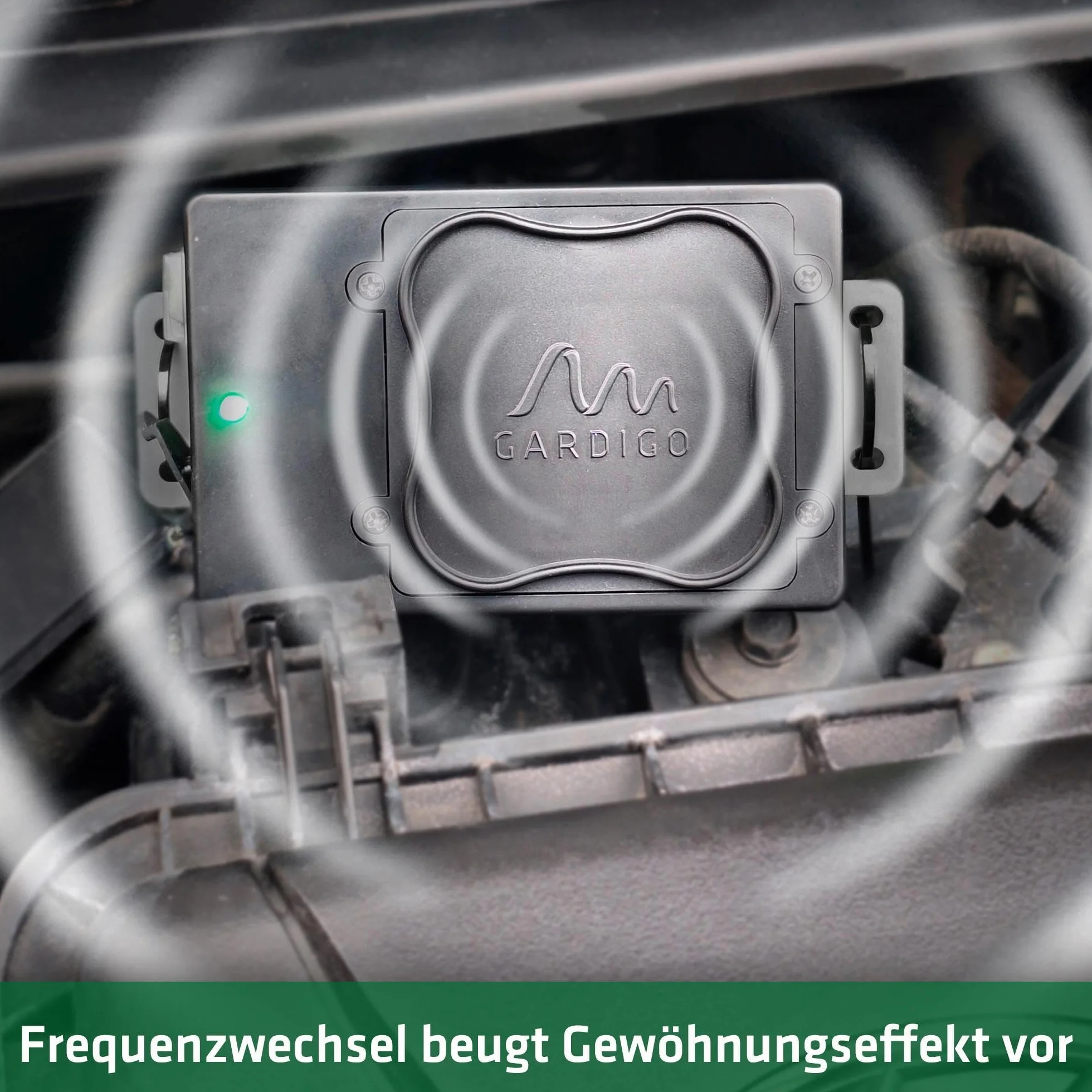 Gardigo® Samochodowy odstraszacz kun, zasilany bateriami, ultradźwiękowy odstraszacz kun, 12 – 24 kHz, wymiana baterii bez demontażu, mobilna ochrona przed kunami do samochodu, komory silnika, strychu