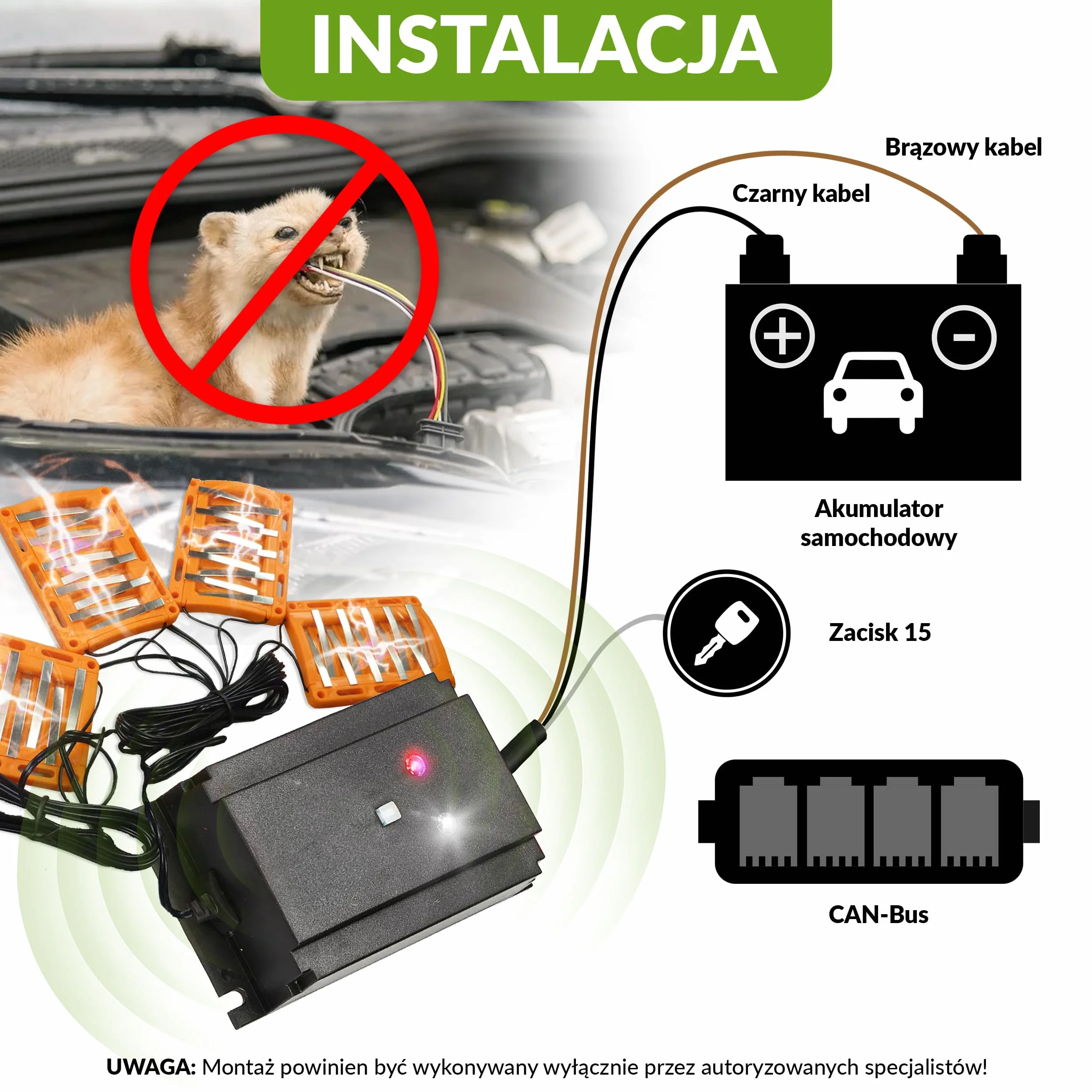 ISOTRONIC® Ultradźwiękowy i wysokonapięciowy odstraszacz myszy, szczurów i kun, 12V zasilany z akumulatora samochodowego, migające światło LED do odstraszania kun, ochrona przed myszami i szczurami do